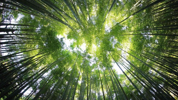 抖音千川推广增粉速度如何?平台优势、操作技巧与涨粉潜力有哪些?